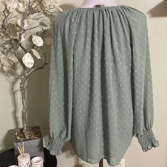 Chico's Sage Green Long Sleeve Blouse - Picture 5 of 9